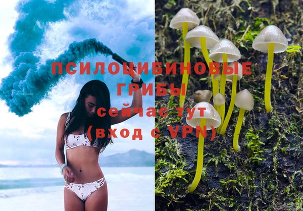кокаин премиум Беломорск