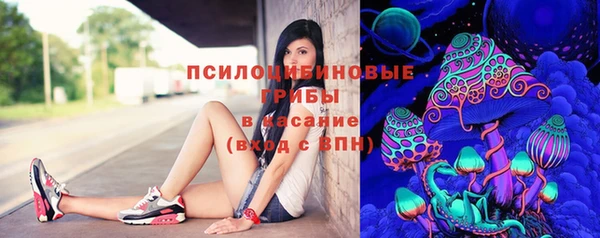 гидра Белокуриха