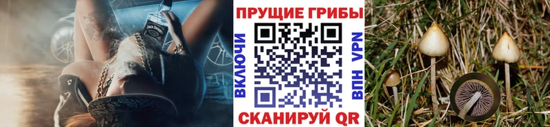 Галлюциногенные грибы Magic Shrooms Вольск